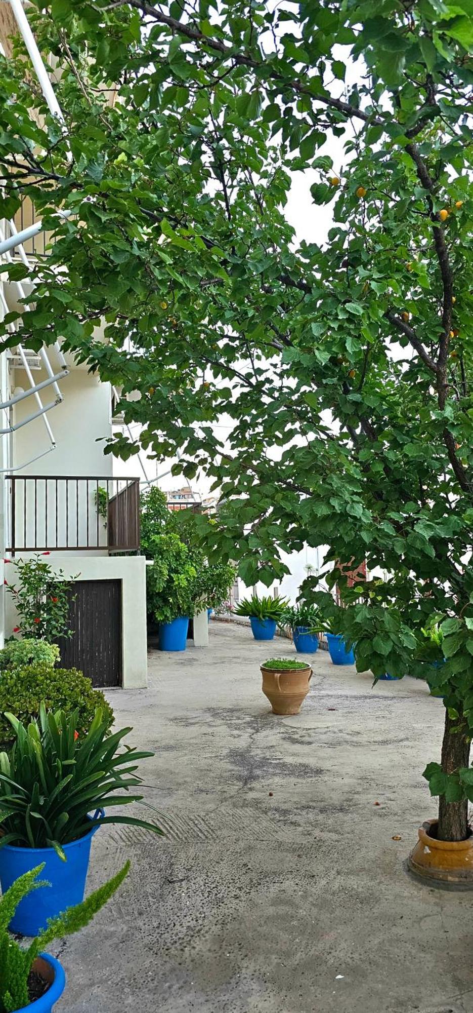 Pension Dimitra Votsi  Exterior foto